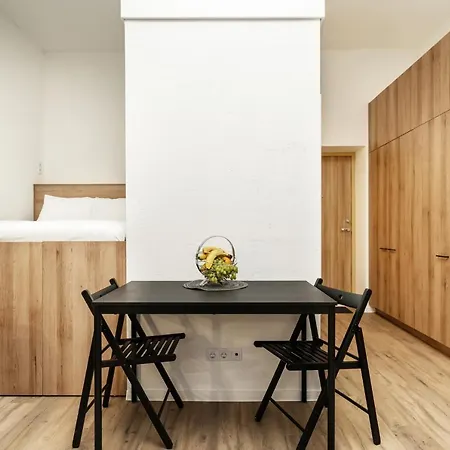 Air 107 Apartment Vilnius